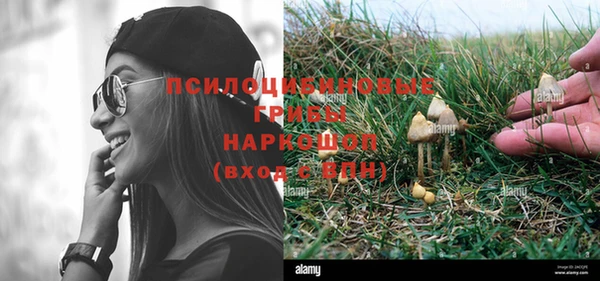 экстази Богородицк