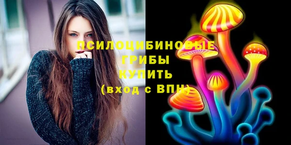 2c-b Богданович
